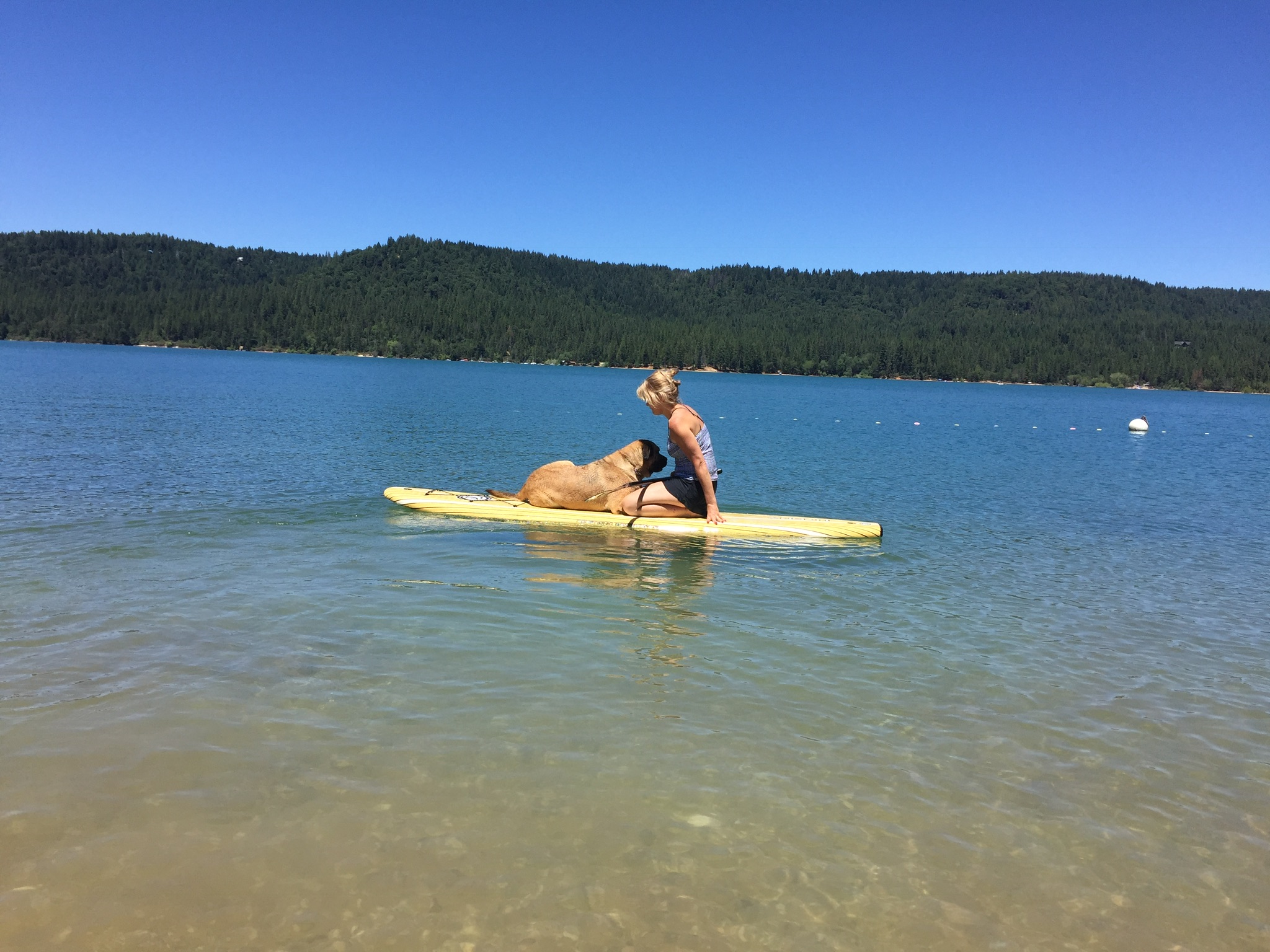 Kayaking Gear Guide What You Need to Get Started